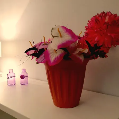 Dello Smeraldo Apartment Bologna